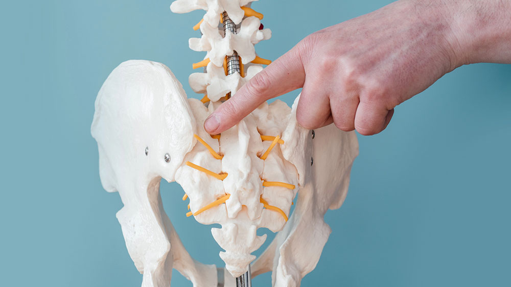 Doctor points to the Sacroiliac Joint on a skelton spine model