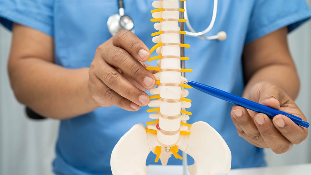 Acute vs. Chronic Back Pain: The Difference and When to See a Doctor Doctor, holding spinal nerve and bone model, explains the cause of lumbar pain to patient